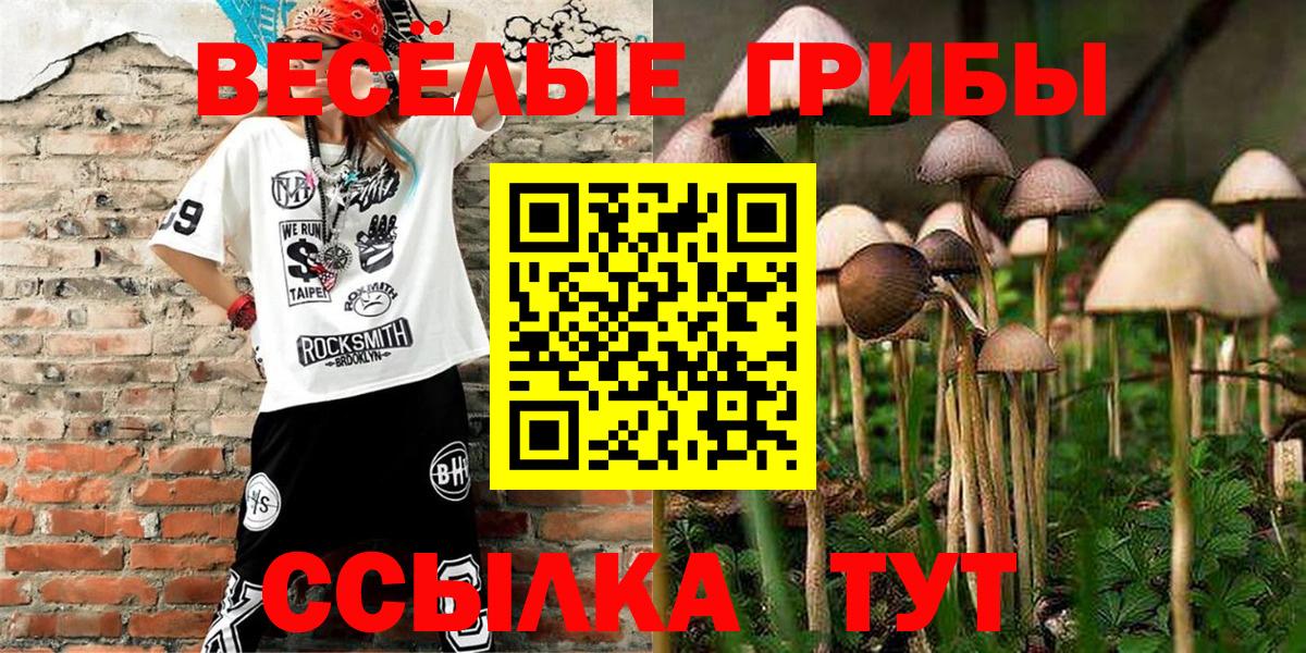 Галлюциногенные грибы прущие грибы  Галлюциногенные грибы Cubensis  Кирово-Чепецк  Вход с VPN 