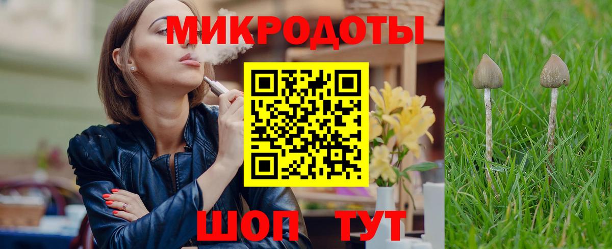 Галлюциногенные грибы Psilocybine cubensis Кирово-Чепецк